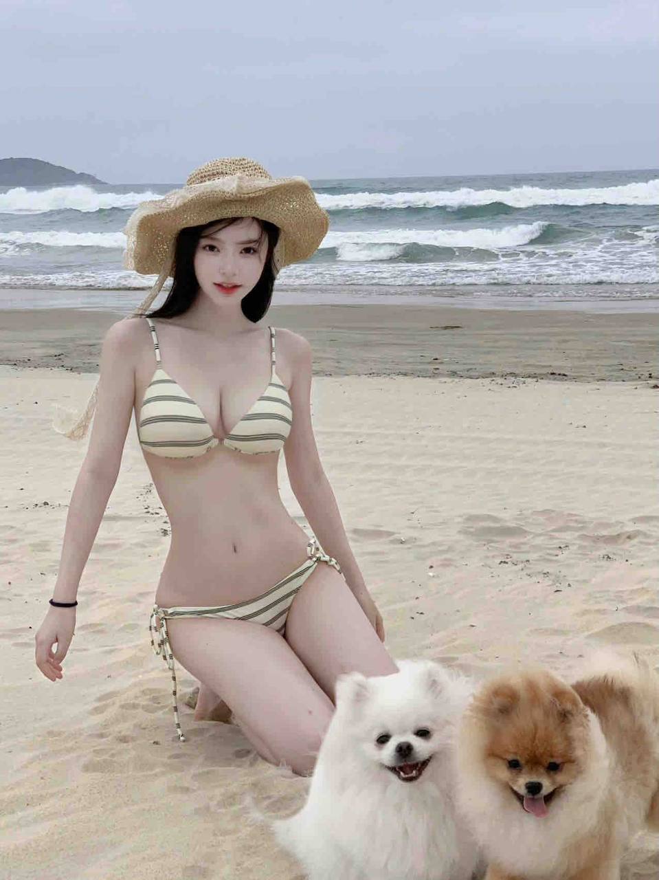 麻豆最新版本免费版